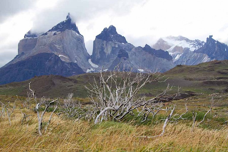 De Cuernos in NP Torres del Paine, Chili