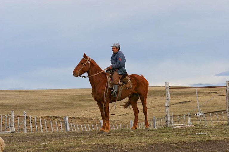 Gaucho in het NP Torres del Paine, Chili.