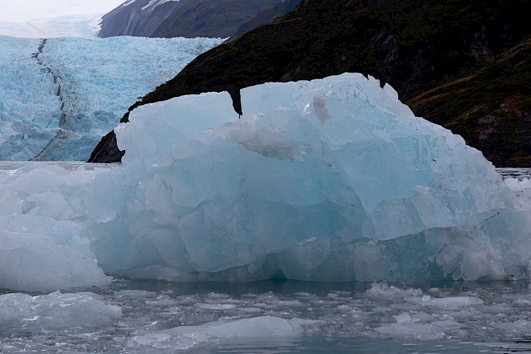 Gletsjerijs heeft vaak een mooie blauwe kleur.