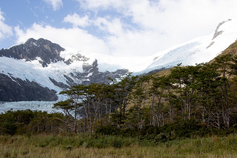 Lengabossen, bergen en gletsjers, het kenmerkende landschap van Vuurland.