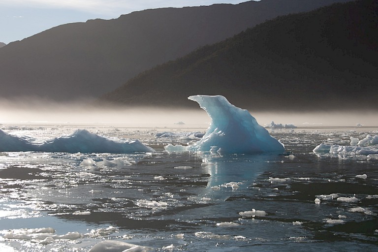 IJsbergje in de ochtendmist.
