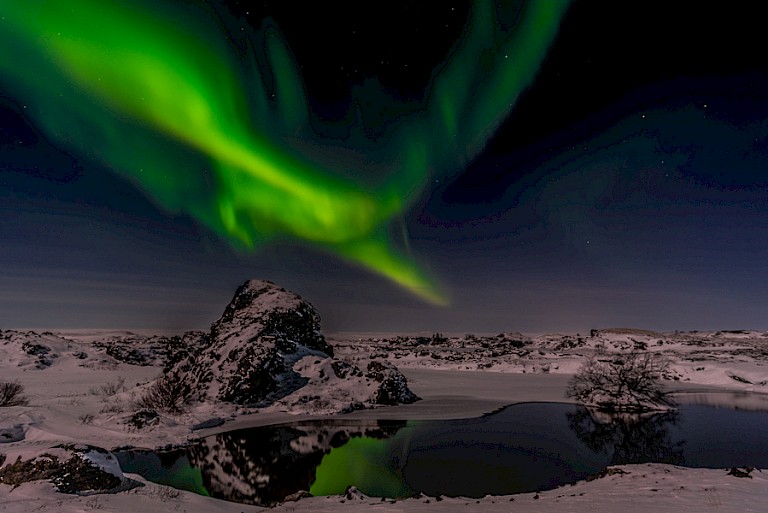 Noorderlicht (Aurora borealis). Foto: Ilja Reijnen.