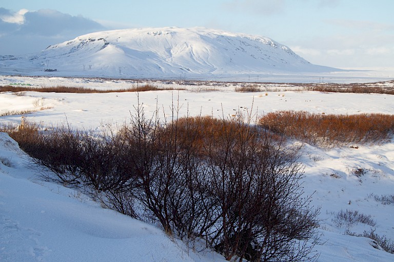 Onderweg van Geysir naar Sellfoss.