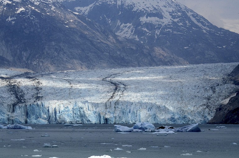 Gletsjer in Glacier Bay