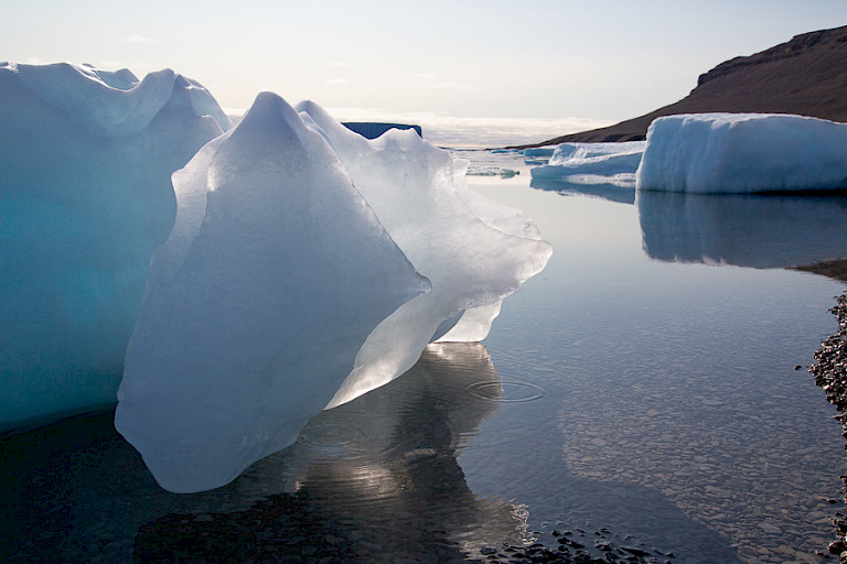 Gestrande ijsbergen in allerlei vormen en kleuren, Beechey.