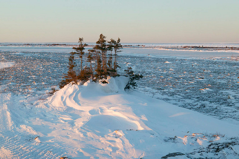 De toendra gezien vanuit de Tundra Buggy Lodge.