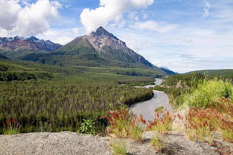 Uitzicht langs de Glenallen Highway.