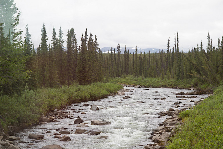 Riviertje langs de weg.