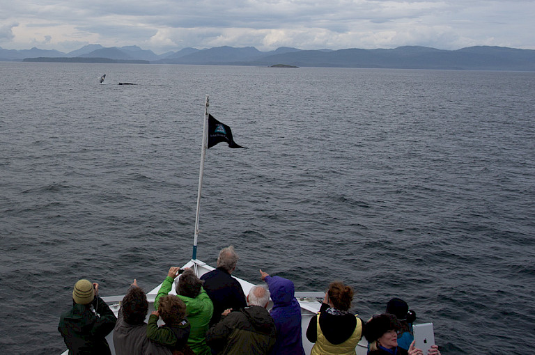 Walvissen spotten in de Frederick Sound, Inside Passage, Alaska.