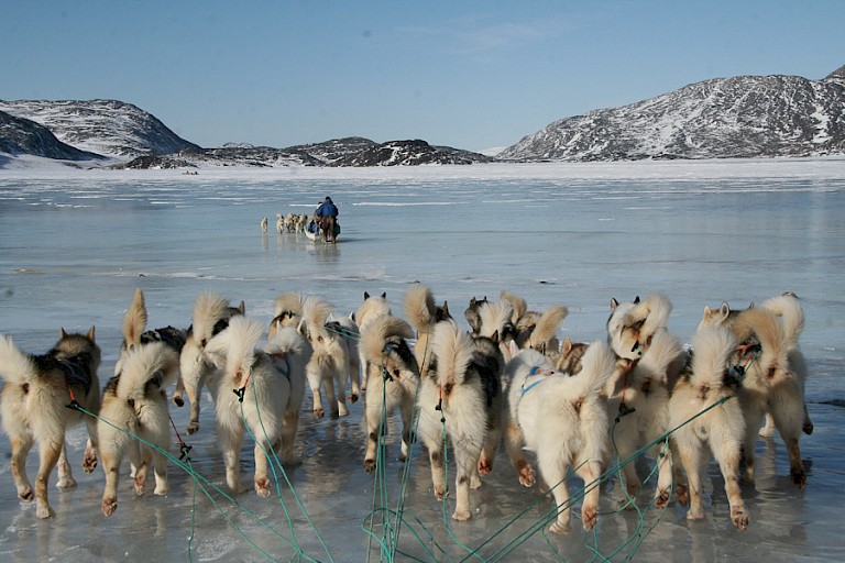 Klaar om de fjord over te steken. Groenland.
