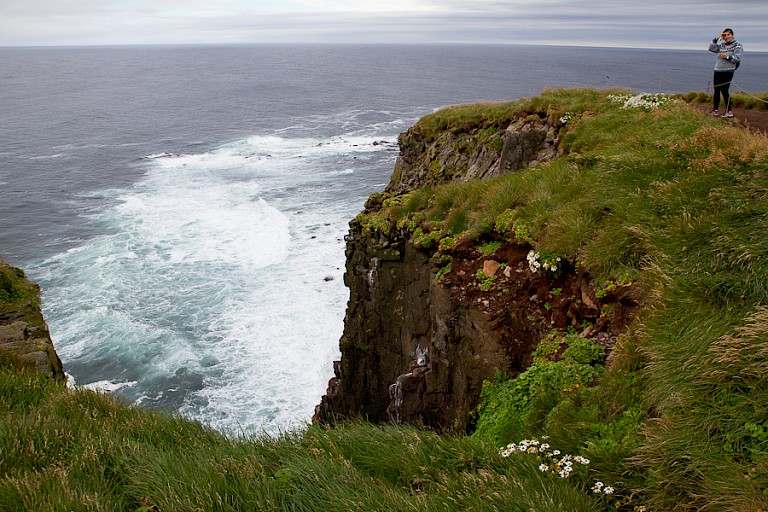De kliffen van Látrabjarg.