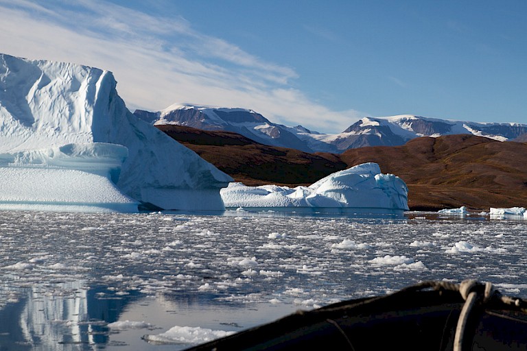 Een zodiaccruise tussen de ijsbergen.