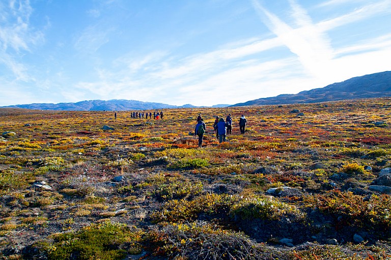 Wandelen over de toendra.
