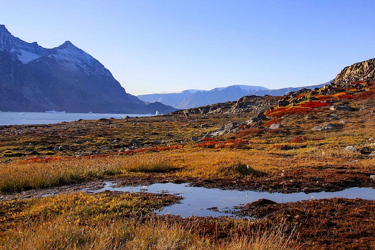 Blosseville coast