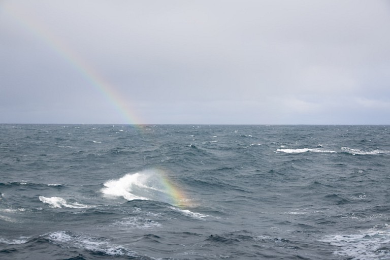 Terug op zee naar IJsland