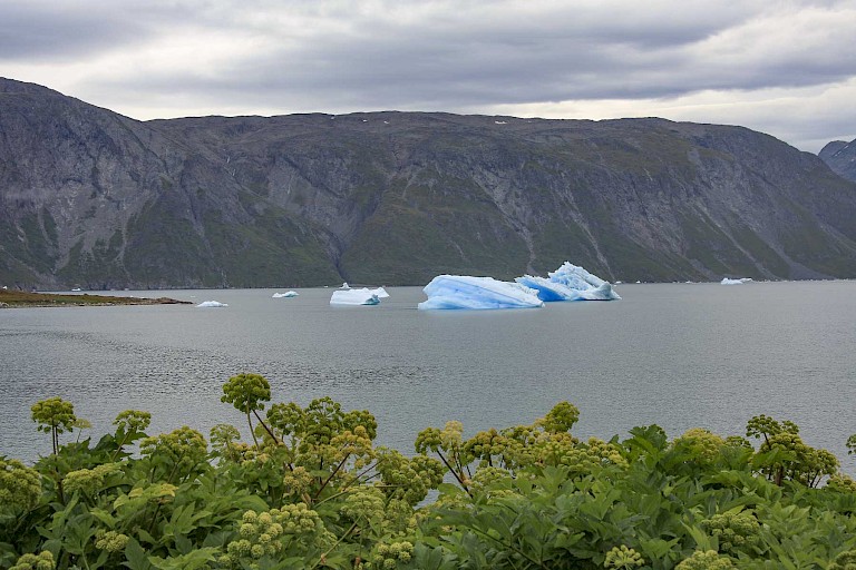 Landschap langs de Itilleqfjord