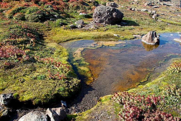 Een warme bron in Romerfjord zorgt voor een groene omgeving.