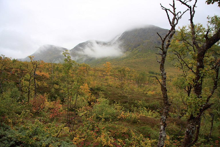 Soms kan er ook wat laaghangende bewolking zijn.