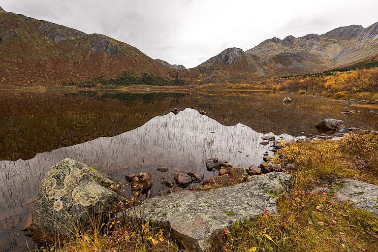 Heet verstilde landschap met mooie weerspiegelingen.