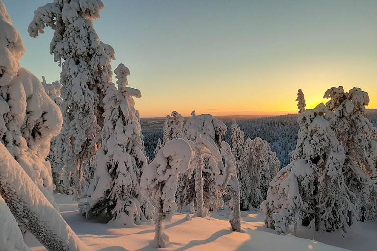 De zonsondergang zorgt voor mooie kleuren in het winterse landschap.