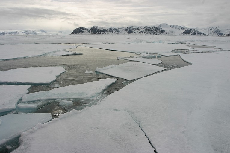 Pakijs bij de noordwest hoek van Spitsbergen.