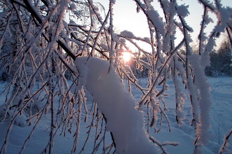 Zonsopgang in het winterse landschap.