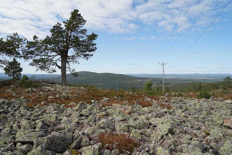Uitzichtpunt Pallas Yllästunturi NP.