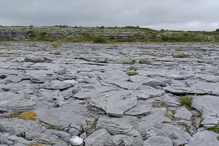 Barrenlands.