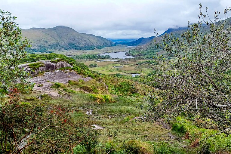 Het typische landschap van Zuid-Ierland.