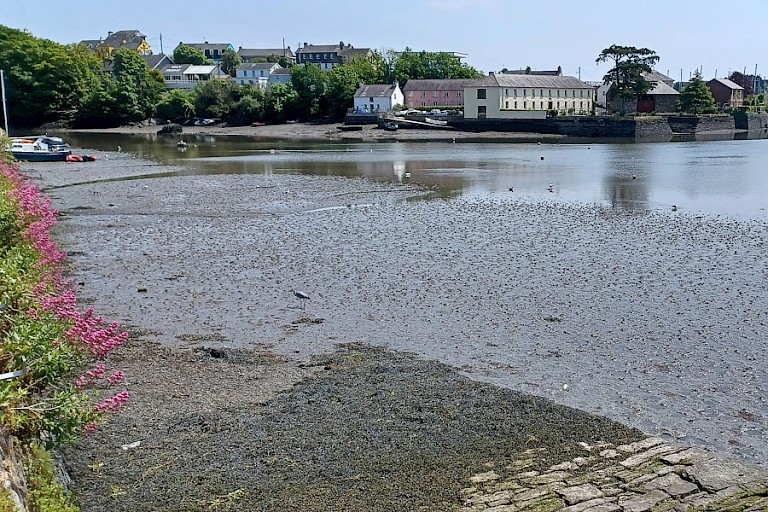 Een van de vele havenplaatsjes in Ierland.