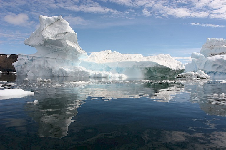 IJsbergen in de Weddellzee