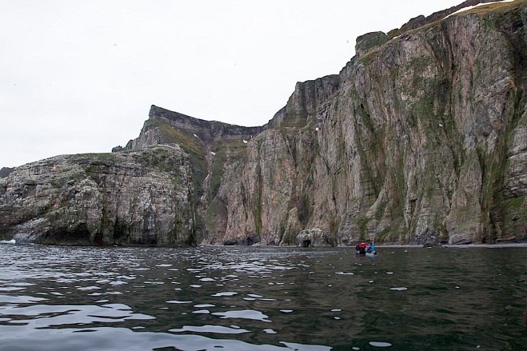 Zodiactocht langs de kliffen met zeevogelkolonies, Bereneiland.