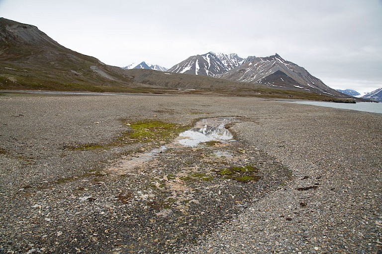 Desolate landschap van St. John's fjorden.