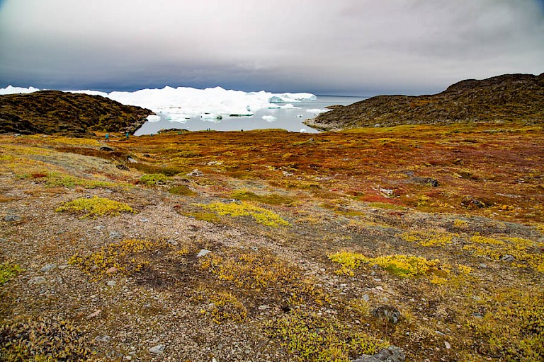 Ilulissat. Uitzicht op de ijsbergen bij Sermermiut.