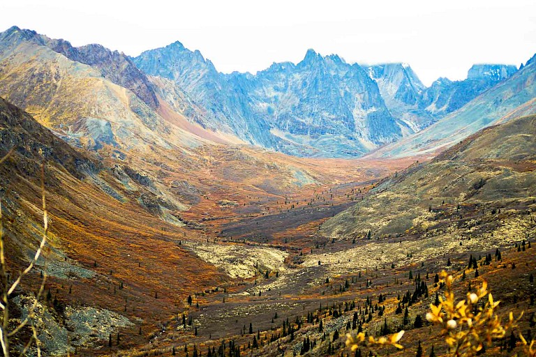 Het ruige landschap van de Tombstone Mountains.