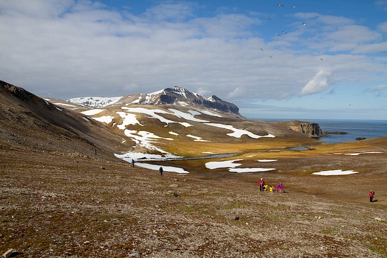 Toendra Bereneiland met Miseryfjetllet op de achtergrond.
