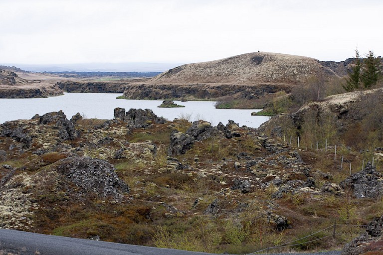 Ruige landschap rond Mývatn