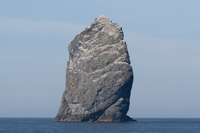 Stac Lee