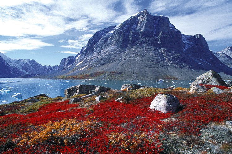 Het prachtige landschap van Skoldungen. Foto: Rinie van Meurs.