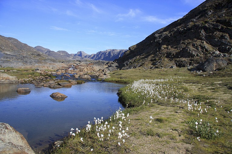 Een wildernislanding aan de westkust.