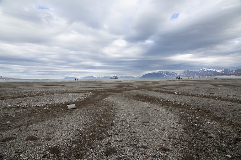 De weidse toendra van de Bellsund.