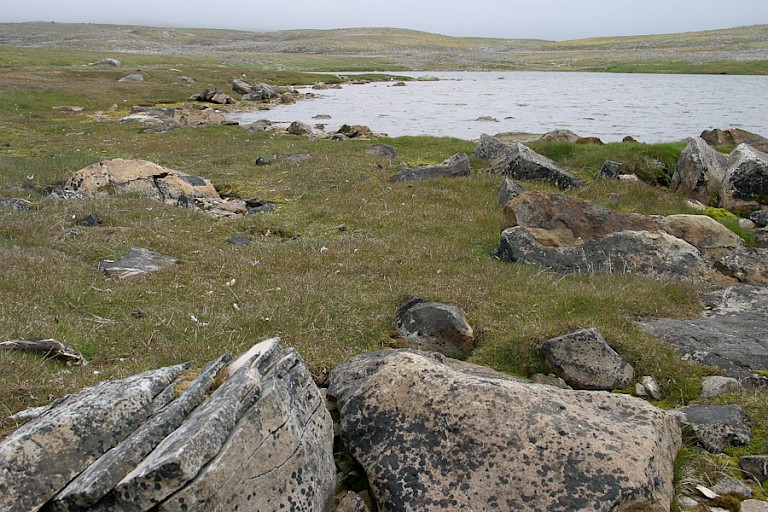 Een kijkje boven op het plateau.