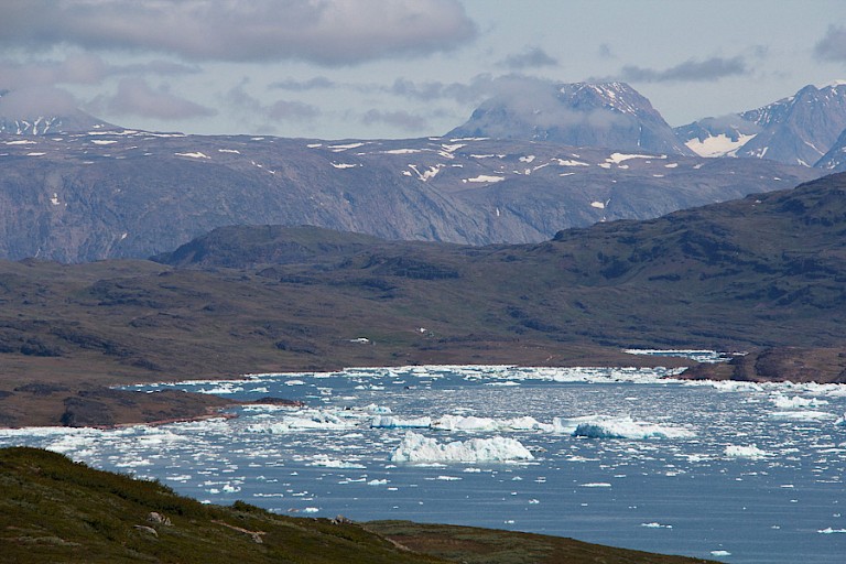 In de fjorden drijven vaak ijsbergen, afgekalfd van de gletsjers.