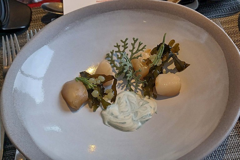 Een prachtig en heerlijk gerecht van het Tundra-to-Table diner
