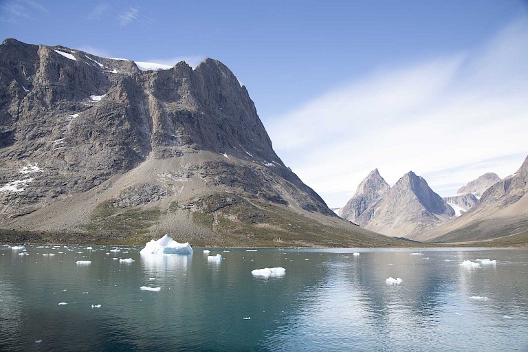 Skjoldungefjord