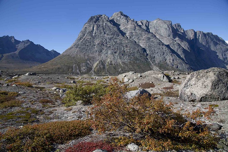 Herfstkleuren in een van de valleien aan de Tasermiutfjord