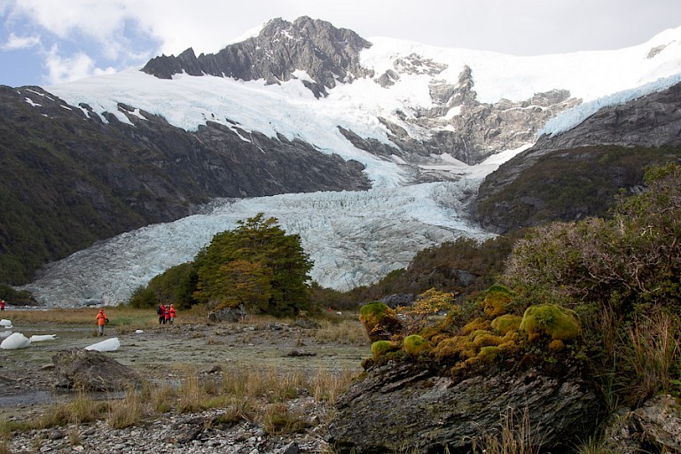 Gletsjer in Glacier Alley.
