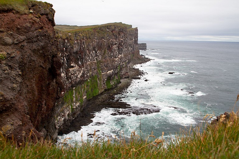 KLiffn bij Látrabjard