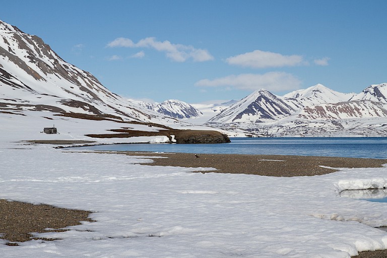 Aan land dieper in de St. John's Fjord.