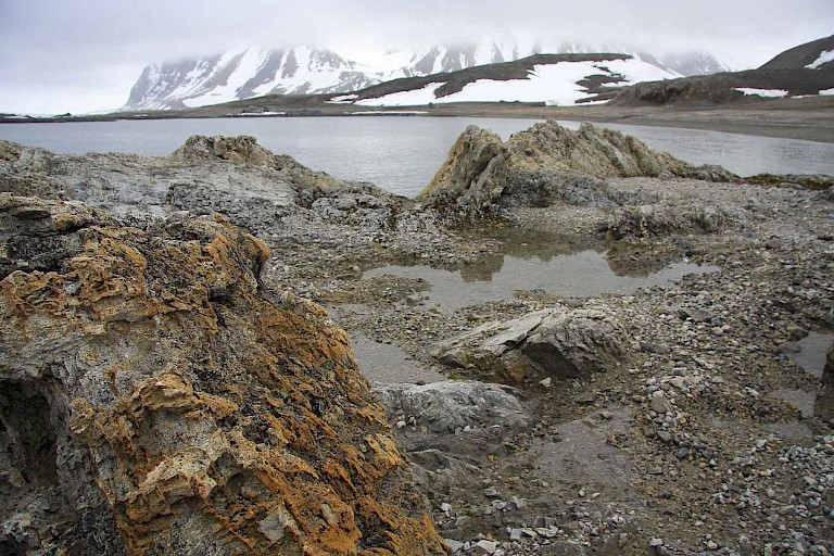 Gnaodden (Hornsund)